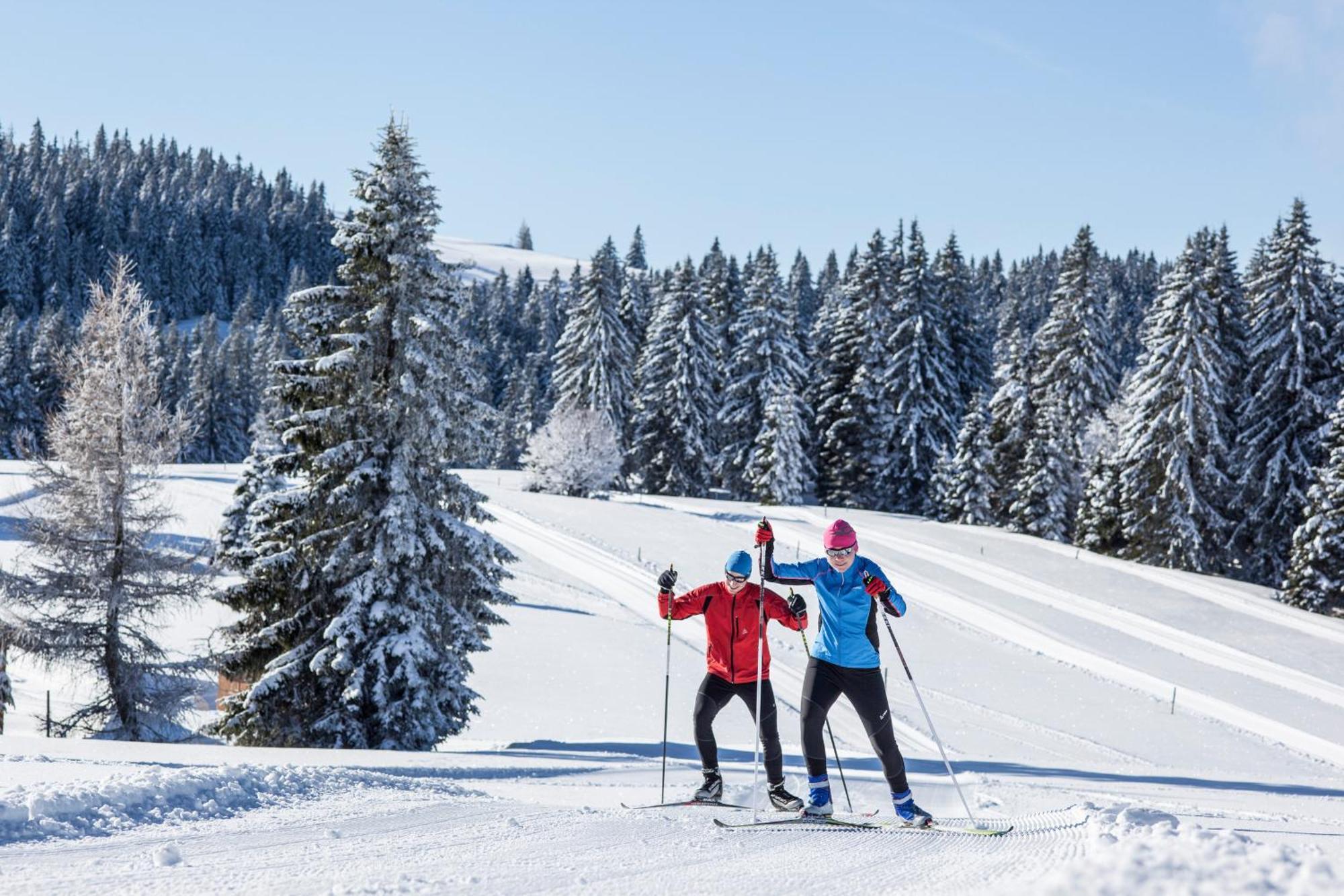 Ferienwohnung Seeblick Nr 5, 2 Zi-Baerental, Feldberg Rotwasser Екстер'єр фото