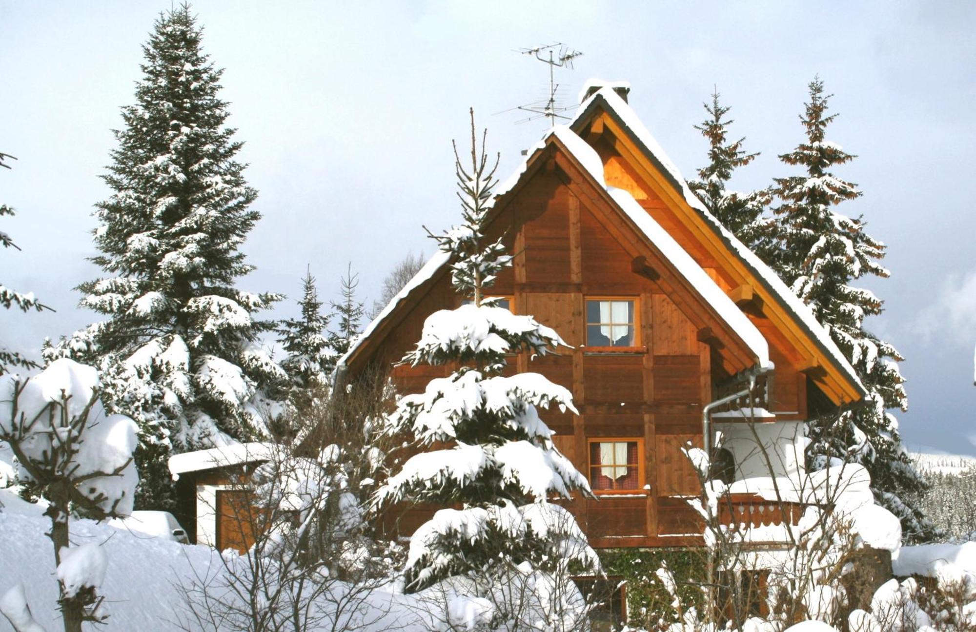 Ferienwohnung Seeblick Nr 5, 2 Zi-Baerental, Feldberg Rotwasser Екстер'єр фото