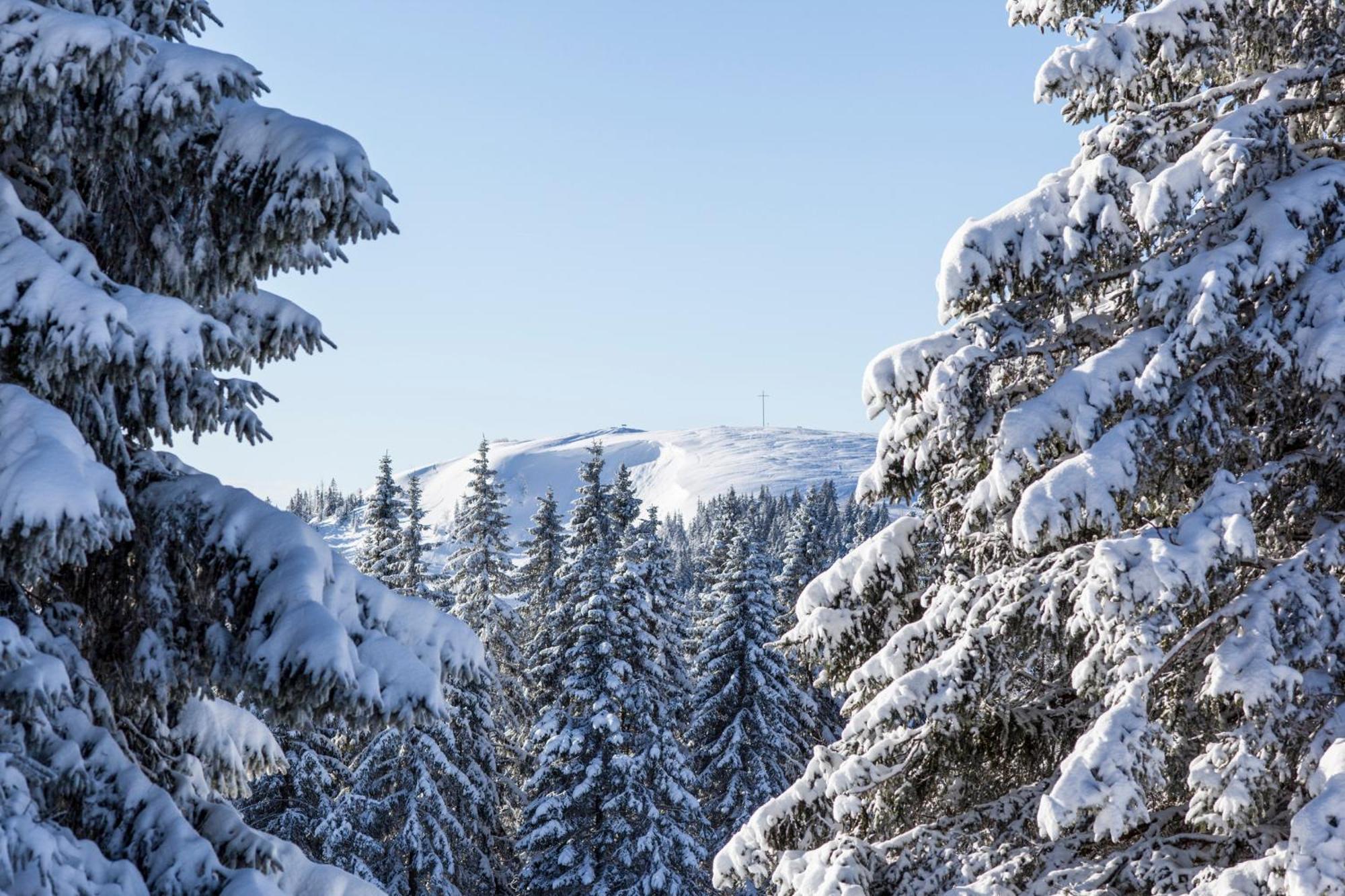 Ferienwohnung Seeblick Nr 5, 2 Zi-Baerental, Feldberg Rotwasser Екстер'єр фото